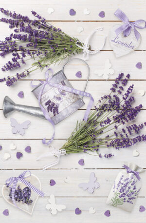 Levendula-Rustic-A-4-gumis-mappa