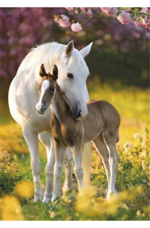 Lovas-Spring-Foal-A-4-gumis-mappa