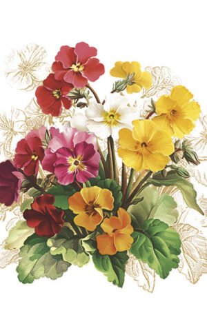 Virag-Vintage-Primrose-szalveta-20-db-os-33x33-cm