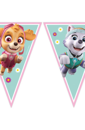 Paw-Patrol-Skye-and-Everest-Mancs-Orjarat-zaszlofu