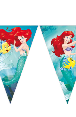 Ariel-Curious-Disney-Hercegnok-Ariel-zaszlofuzer-F