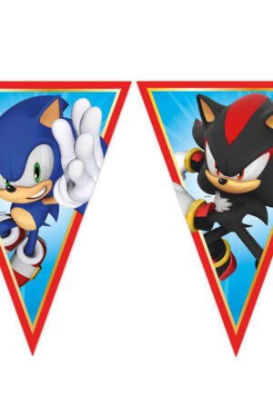 Sonic-a-sundiszno-Sega-zaszlofuzer-FSC-23-m