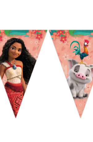 Disney-Vaiana-Sailing-Spirit-zaszlofuzer-FSC-23-m
