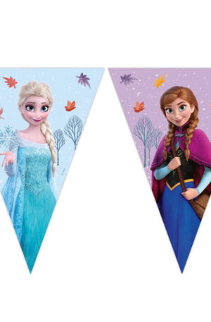 Disney-Jegvarazs-Idyllic-Wonder-zaszlofuzer-FSC-23