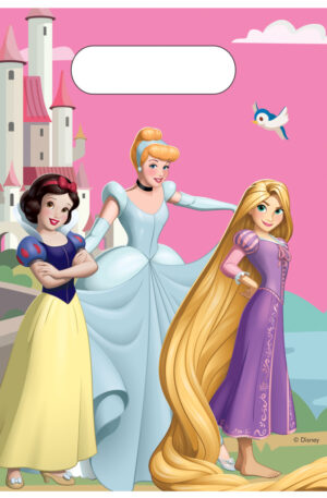 Disney-Hercegnok-Create-Your-World-muanyag-ajandek
