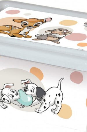 Disney-muanyag-tarolo-doboz-37-L