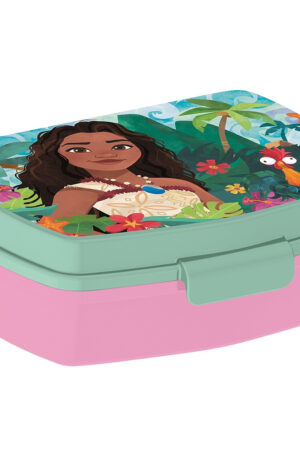 Disney-Vaiana-funny-szendvicsdoboz