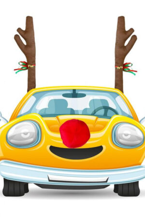 Reindeer-Renszarvas-karacsonyi-autos-dekoracio