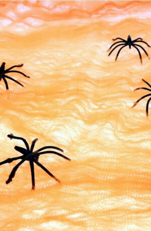 Spider-Web-Orange-Pokhalo-pokokkal