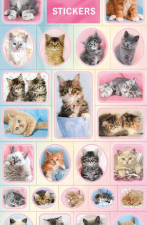 Allatos-Cats-matrica