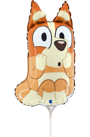 Bluey-Bingo-mini-folia-lufi-35-cm-WP
