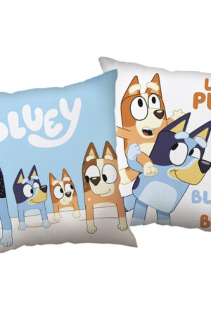 Bluey-Let039s-PLay-parna-diszparna-40x40-cm
